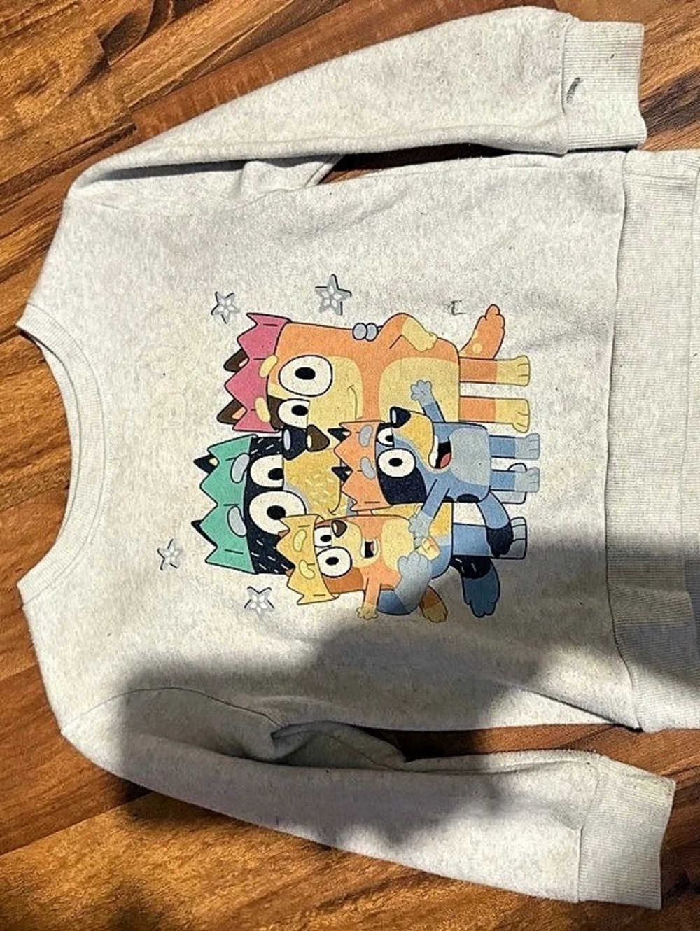 Bluey Kids' Bluey Family Pullover Sweatshirt Kids' Family Pullover Sweatshirt